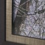 15588 - Branchscape Moss - Reflect by Mikael Svensson a Framed Photo Art Print Matted under Glass