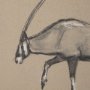 15577 - African Animal Study II by Mercana Studio a Hand Embellished Framed Art Print