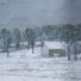 15601 - Winter On The Farm IV by Mercana Studio a Hand Embellished Framed Art Print