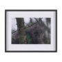 15602 - Porcupine Visit by Chad Mackay a Hand Embellished Framed Photo Art Print Matted under Glass