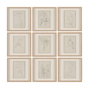 Sketch Collection (Set of 9) by Mercana Studio a Hand Embellished Framed Art Print Matted under Glas