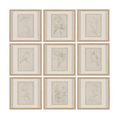15612 - Sketch Collection (Set of 9) by Mercana Studio a Hand Embellished Framed Art Print Matted under Glas