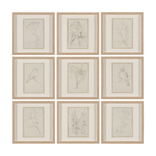 15612 - Sketch Collection (Set of 9) by Mercana Studio a Hand Embellished Framed Art Print Matted under Glas