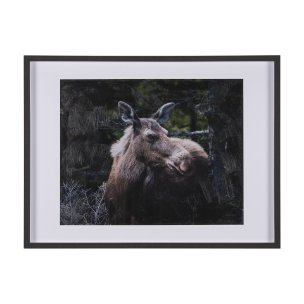 Cautious Gaze by Chad Mackay a Hand Embellished Framed Photo Art Print Matted under Glass