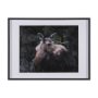 15622 - Cautious Gaze by Chad Mackay a Hand Embellished Framed Photo Art Print Matted under Glass