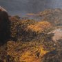 15580 - Fogo Island by Chad Mackay a Hand Embellished Framed Photo Art Print Matted under Glass
