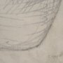 15621 - Handled Jug Sketch (Set of 2) by Mercana Studio a Hand Embellished Framed Art Print