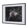 15622 - Cautious Gaze by Chad Mackay a Hand Embellished Framed Photo Art Print Matted under Glass
