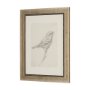 15628 - Soft Shadows (Set of 5) by Mercana Studio a Hand Embellished Framed Art Print