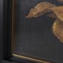 15656 - Gilded Bounty I by Mercana Studio a Hand Embellished Framed Art Print Matted under Glass