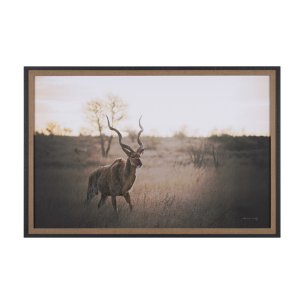 Kudu Bull by Sharon Vardy a Hand Embellished Framed Photo Art Print Matted under Glass