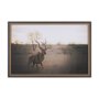 15692 - Kudu Bull by Sharon Vardy a Hand Embellished Framed Photo Art Print Matted under Glass