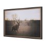 15692 - Kudu Bull by Sharon Vardy a Hand Embellished Framed Photo Art Print Matted under Glass