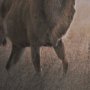 15692 - Kudu Bull by Sharon Vardy a Hand Embellished Framed Photo Art Print Matted under Glass