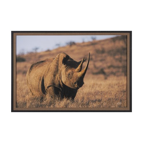 15706 - Kenyan Rhino by Max Blakesberg Studios a Hand Embellished Framed Photo Art Print Matted under Glass
