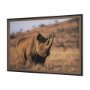 15706 - Kenyan Rhino by Max Blakesberg Studios a Hand Embellished Framed Photo Art Print Matted under Glass