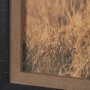 15706 - Kenyan Rhino by Max Blakesberg Studios a Hand Embellished Framed Photo Art Print Matted under Glass