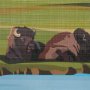 15646 - Montana Go USA (L) by Mercana Studio a Hand Embellished Decograph Framed Art Print