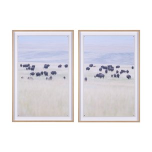 Grazing Herd (Set of 2) by Chad Mackay a Framed Photo Art Print Matted under Glass