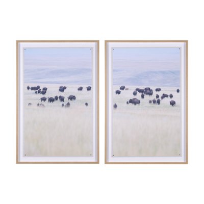 15683 - Grazing Herd (Set of 2) by Chad Mackay a Framed Photo Art Print Matted under Glass
