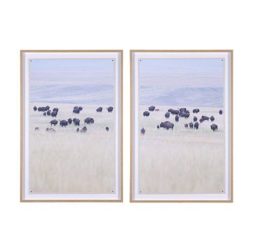 15683 - Grazing Herd (Set of 2) by Chad Mackay a Framed Photo Art Print Matted under Glass