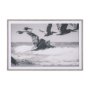 15713 - Pelican Beach by Nathan Larson a Hand Embellished Framed Photo Art Print Matted under Glass