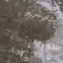 102664-FL - Forest Morning I by Mercana Studio a Hand Embellished Textured Framed Canvas
