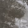 102665-FL - Forest Morning II by Mercana Studio a Hand Embellished Textured Framed Canvas