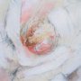 15637 - Aromatic Magnolia by Mercana Studio a Hand Embellished Framed Art Print Matted under Glass