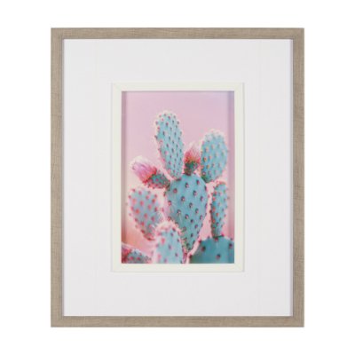 15658 - Blush Botanicals - Prickles by Philippe Hugonnard a Hand Embellished Framed Photo Art Print Matted u