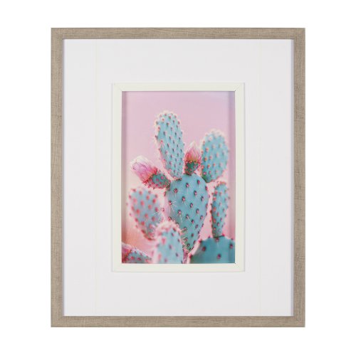 15658 - Blush Botanicals - Prickles by Philippe Hugonnard a Hand Embellished Framed Photo Art Print Matted u