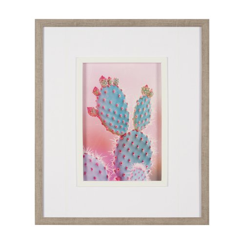 15659 - Blush Botanicals - Spines by Philippe Hugonnard a Hand Embellished Framed Photo Art Print Matted und
