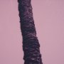 15702 - Pink Palms II by Deborah Revell a Hand Embellished Framed Photo Art Print