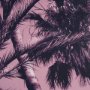 15702 - Pink Palms II by Deborah Revell a Hand Embellished Framed Photo Art Print