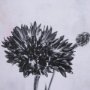 15709 - Wonderful Wildflowers VIII Neutral by Deborah Revell a Hand Embellished Framed Art Print Matted unde