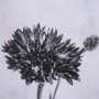 15711 - Wonderful Wildflowers XV Neutral by Deborah Revell a Hand Embellished Framed Art Print Matted under 