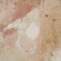 102658-FL - Springs Palette I by Mercana Studio a Hand Embellished Textured Framed Canvas