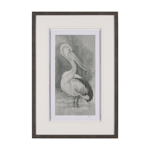 15752 - Pelican Sketch by Mercana Studio a Hand Embellished Framed Art Print Matted under Glass