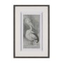 15752 - Pelican Sketch by Mercana Studio a Hand Embellished Framed Art Print Matted under Glass