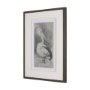15752 - Pelican Sketch by Mercana Studio a Hand Embellished Framed Art Print Matted under Glass
