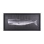 15756 - Whale Watching II by John Butler a Hand Embellished Framed Art Print