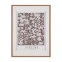 15760 - Belleza En Flores I by Mercana Studio a Framed Art Print Matted under Glass