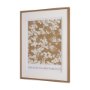 15761 - Belleza En Flores II by Mercana Studio a Framed Art Print Matted under Glass