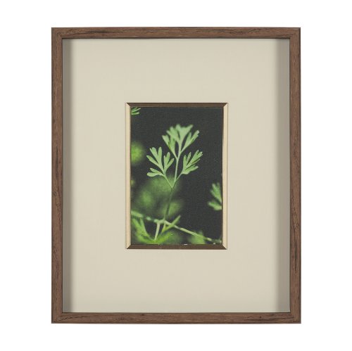 15801 - Green Growth by Michael Banks a Hand Embellished Framed Photo Art Print Matted under Glass