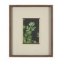 15801 - Green Growth by Michael Banks a Hand Embellished Framed Photo Art Print Matted under Glass