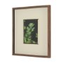 15801 - Green Growth by Michael Banks a Hand Embellished Framed Photo Art Print Matted under Glass