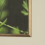 15801 - Green Growth by Michael Banks a Hand Embellished Framed Photo Art Print Matted under Glass