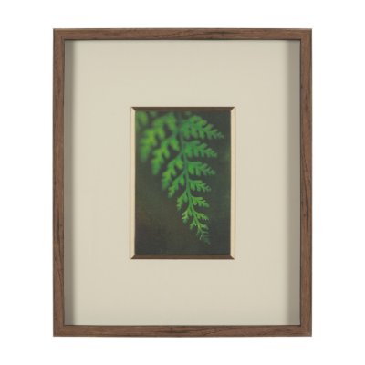 15803 - Leaf Charm by Michael Banks a Hand Embellished Framed Photo Art Print Matted under Glass