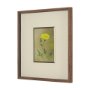 15803 - Leaf Charm by Michael Banks a Hand Embellished Framed Photo Art Print Matted under Glass