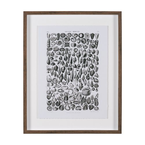 15809 - Sealife II by Oliver Goldsmith a Hand Embellished Framed Art Print Matted under Glass